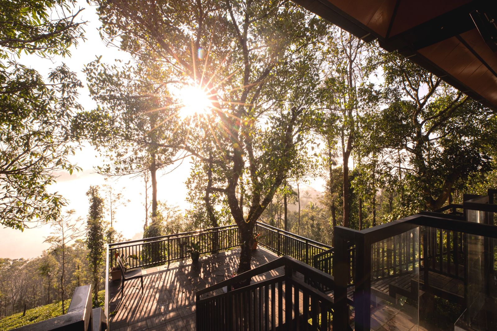 Sunrise breaking over the wooden deck at Jungle Edge