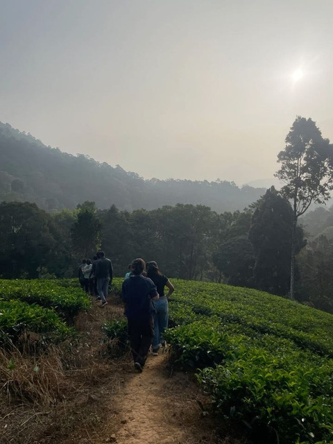 Guests on a guided nature walk